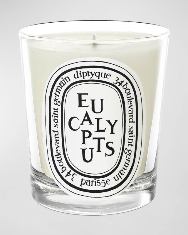 Eucalyptus Scented Candle, 6.5 oz.
